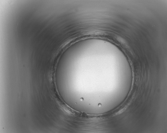 X0000069381017200605262045