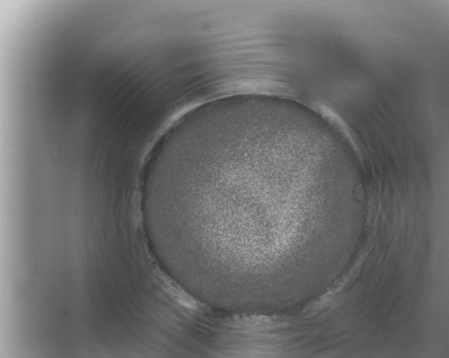 X0000069381019200605262045