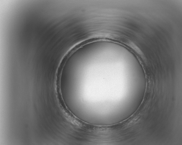 X0000069381020200605262045