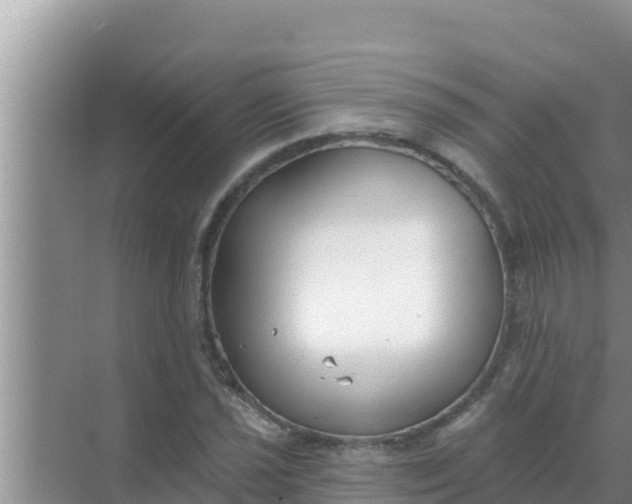 X0000069381021200605262045