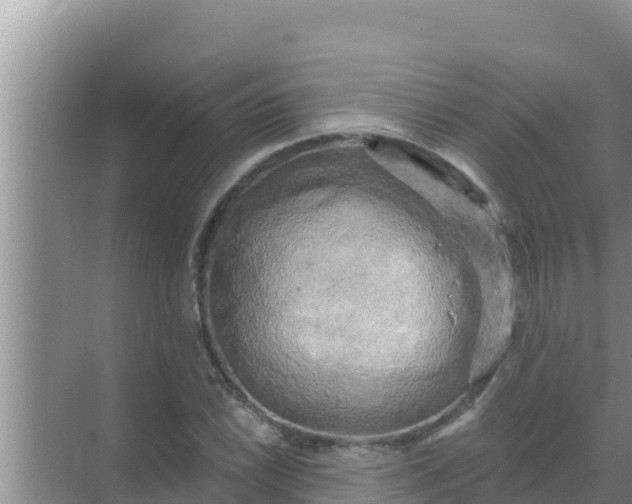 X0000069381022200605262045