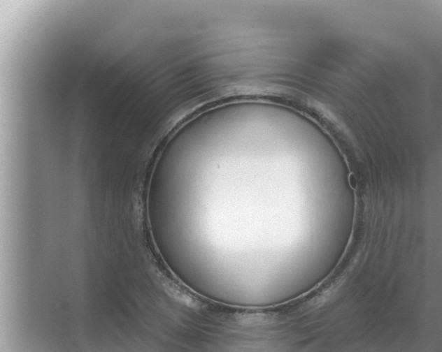 X0000069381025200605262045