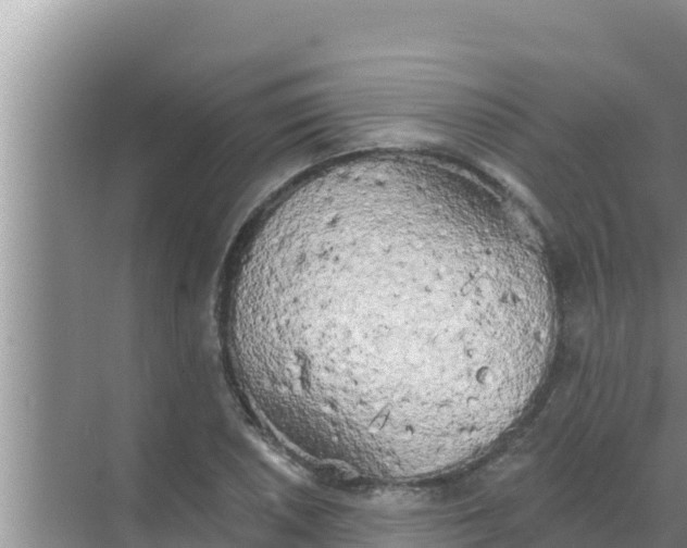 X0000069381026200605262045