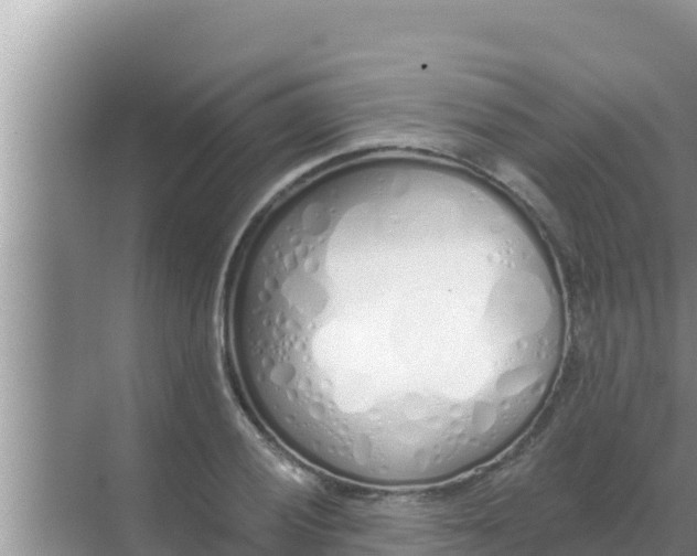 X0000069381028200605262045