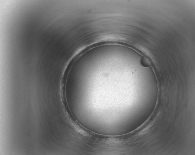 X0000069381029200605262045