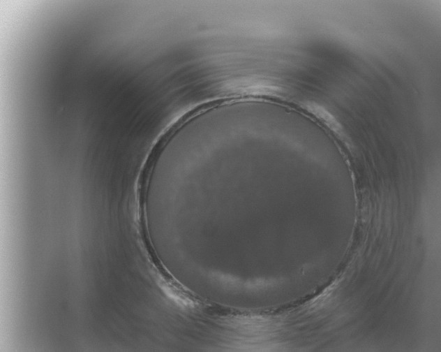 X0000069381031200605262045