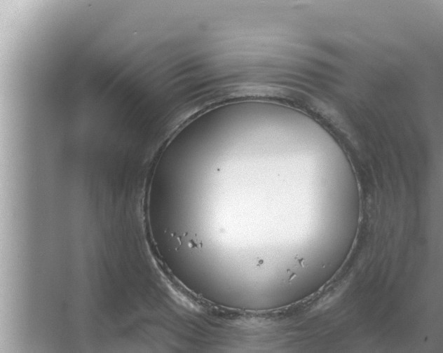 X0000069381033200605262045