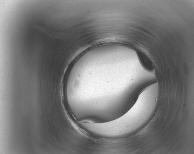 X0000069381034200605262045