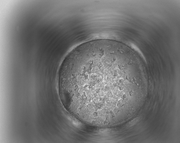 X0000069381035200605262045