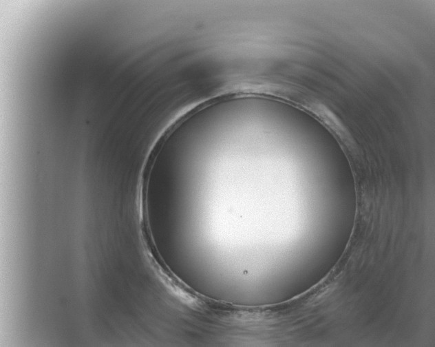 X0000069381036200605262045