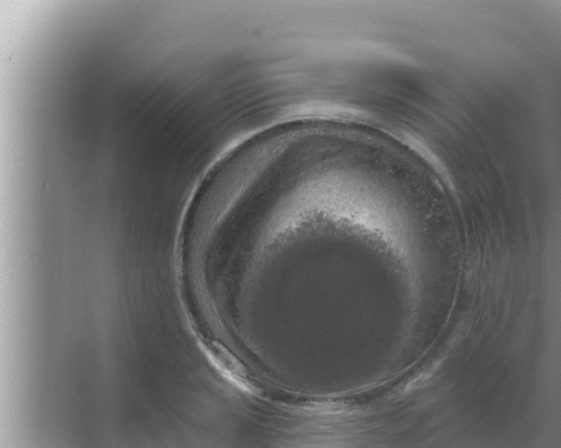 X0000069381037200605262045