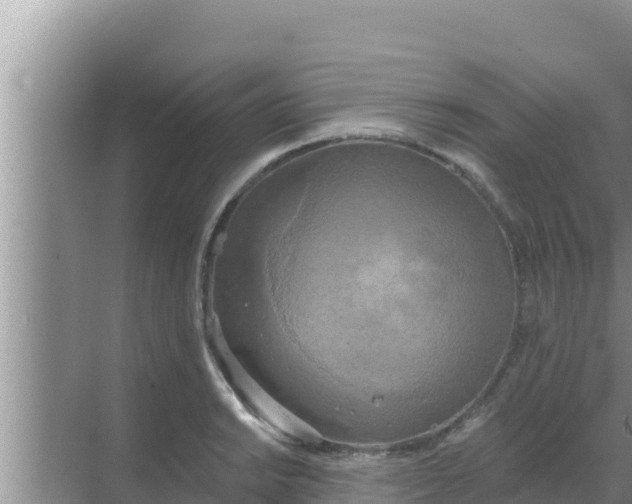 X0000069381038200605262045