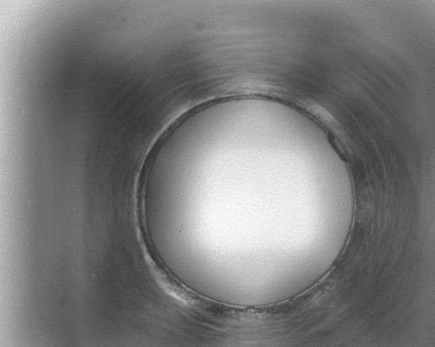 X0000069381039200605262045