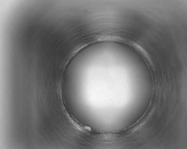 X0000069381041200605262045