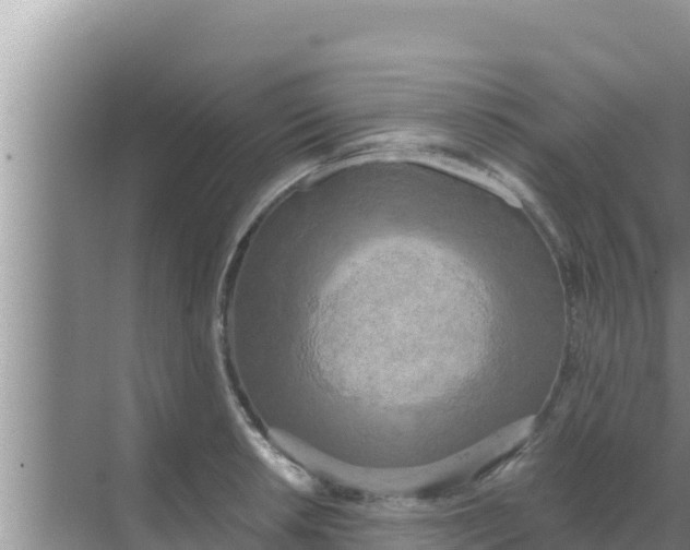 X0000069381042200605262045