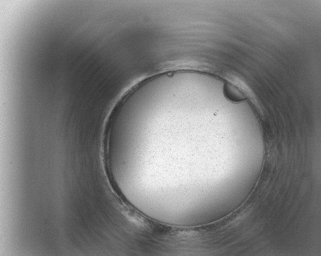 X0000069381043200605262045