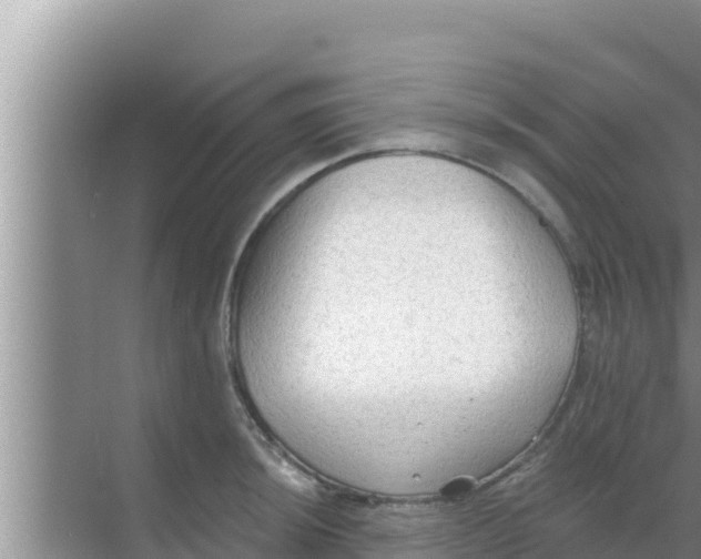 X0000069381044200605262045