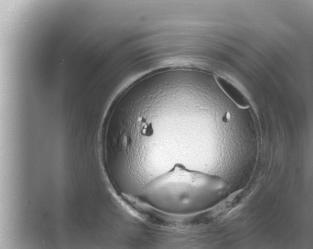 X0000069381045200605262045