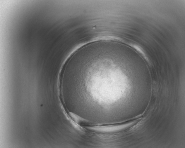 X0000069381046200605262045