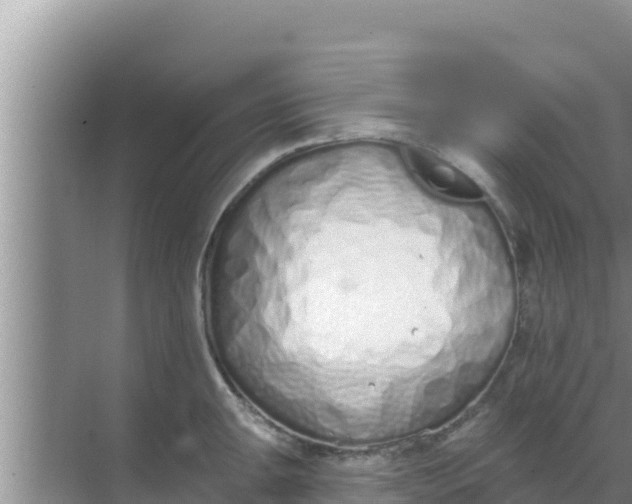 X0000069381047200605262045