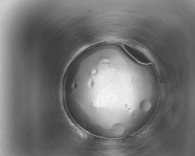 X0000069381048200605262045