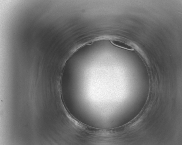 X0000069381049200605262045