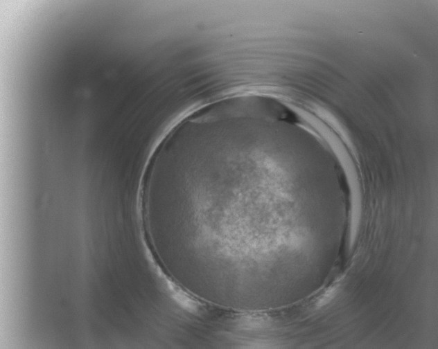 X0000069381050200605262045