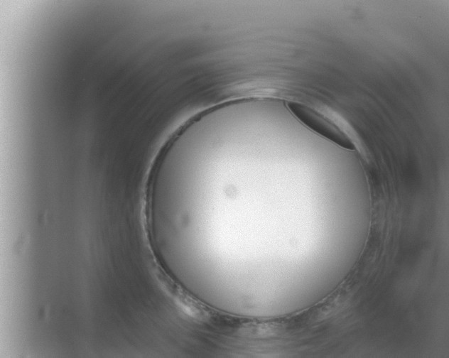 X0000069381051200605262045