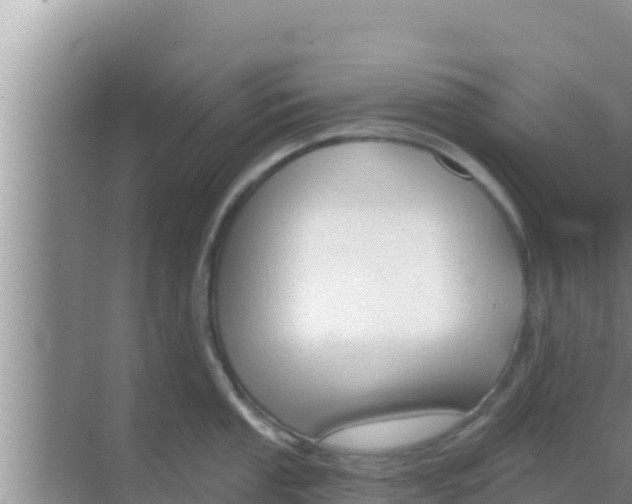 X0000069381053200605262045