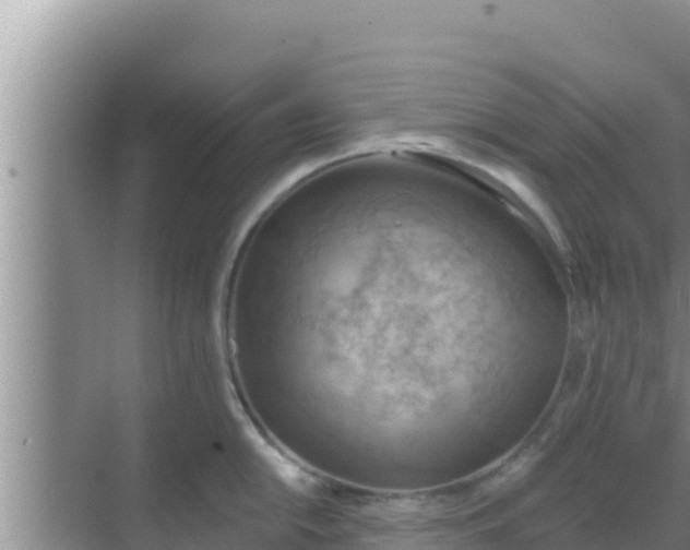 X0000069381054200605262045