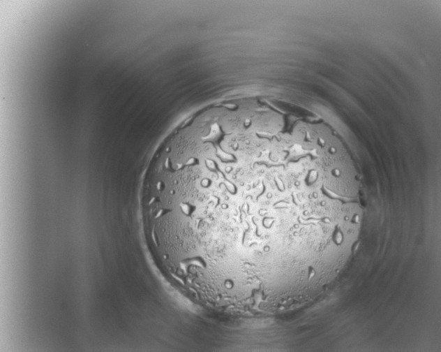 X0000069381055200605262045