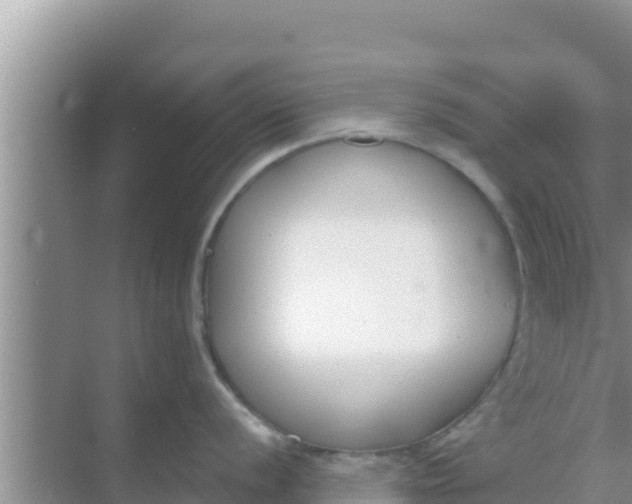 X0000069381056200605262045