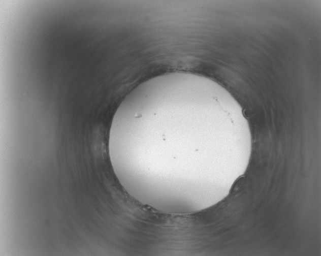 X0000069381058200605262045