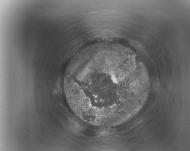 X0000069381060200605262045