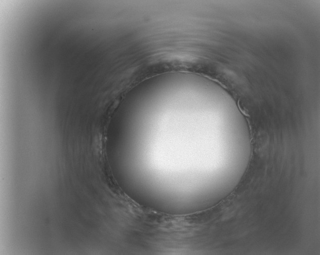 X0000069381061200605262045