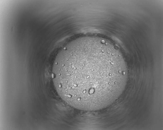 X0000069381063200605262045