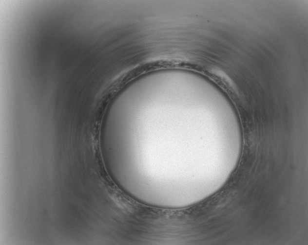 X0000069381064200605262044