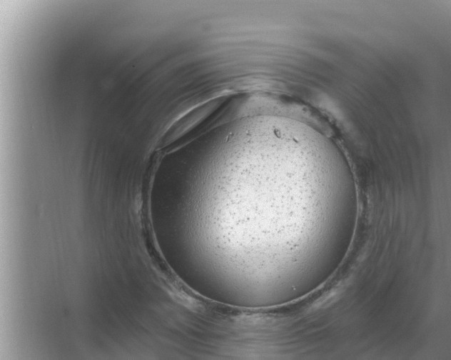 X0000069381065200605262044