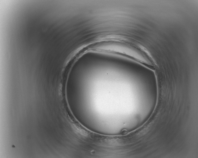 X0000069381066200605262044