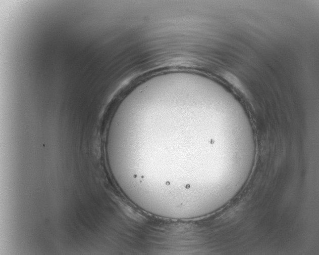 X0000069381067200605262044