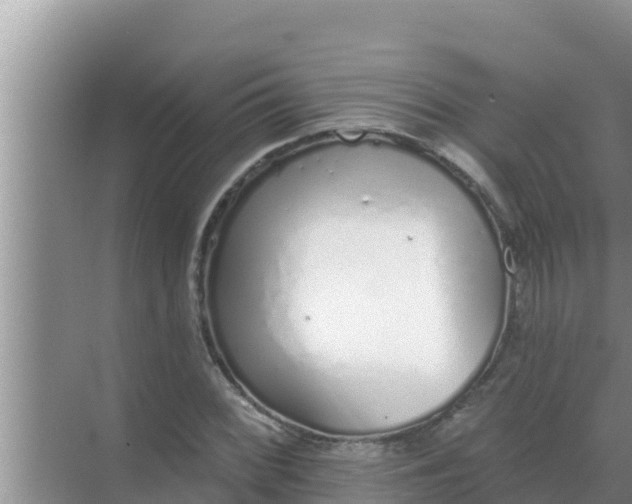 X0000069381068200605262044