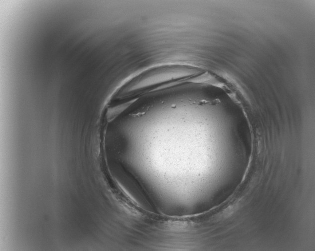 X0000069381069200605262044