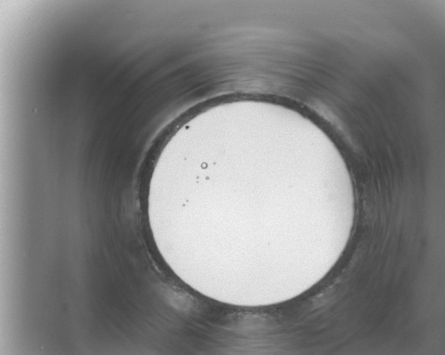 X0000069381070200605262044