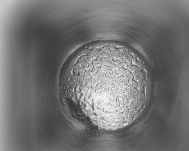 X0000069381071200605262044