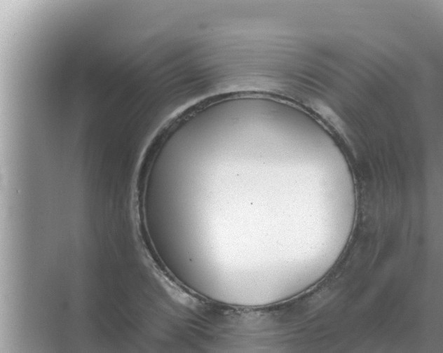 X0000069381072200605262044