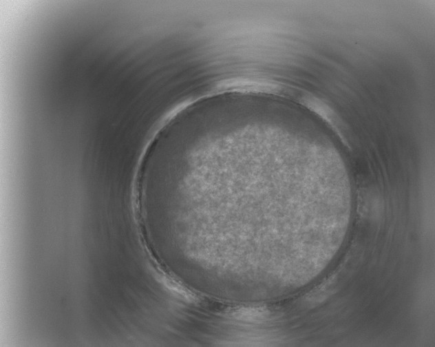 X0000069381074200605262044