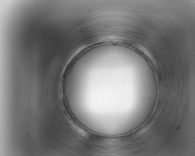 X0000069381075200605262044