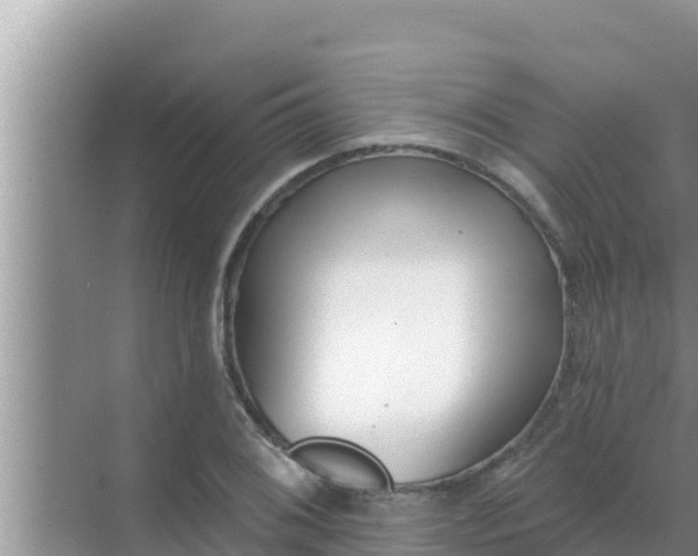 X0000069381076200605262044