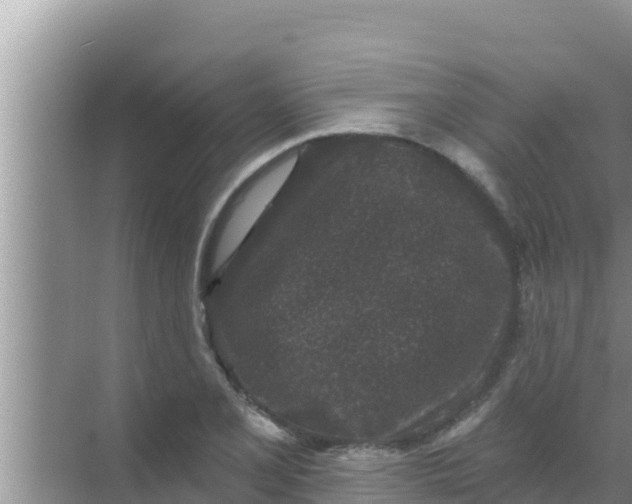 X0000069381077200605262044