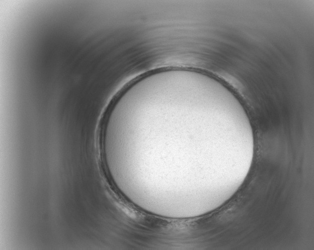 X0000069381078200605262044